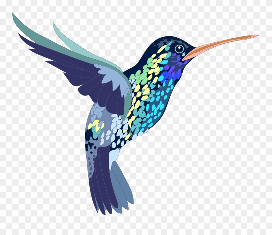 Png, Bird, Hummingbird, Colorful, Illustration, Shapes
