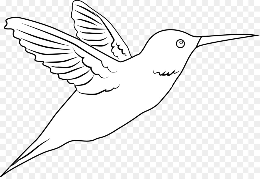 hummingbird clipart illustration