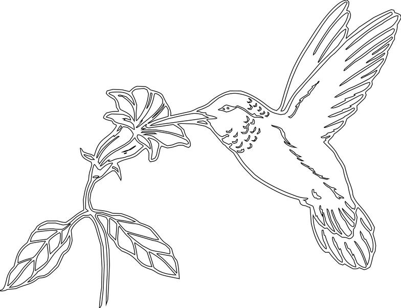 Free Hummingbird Clipart Black And White, Download Free Clip