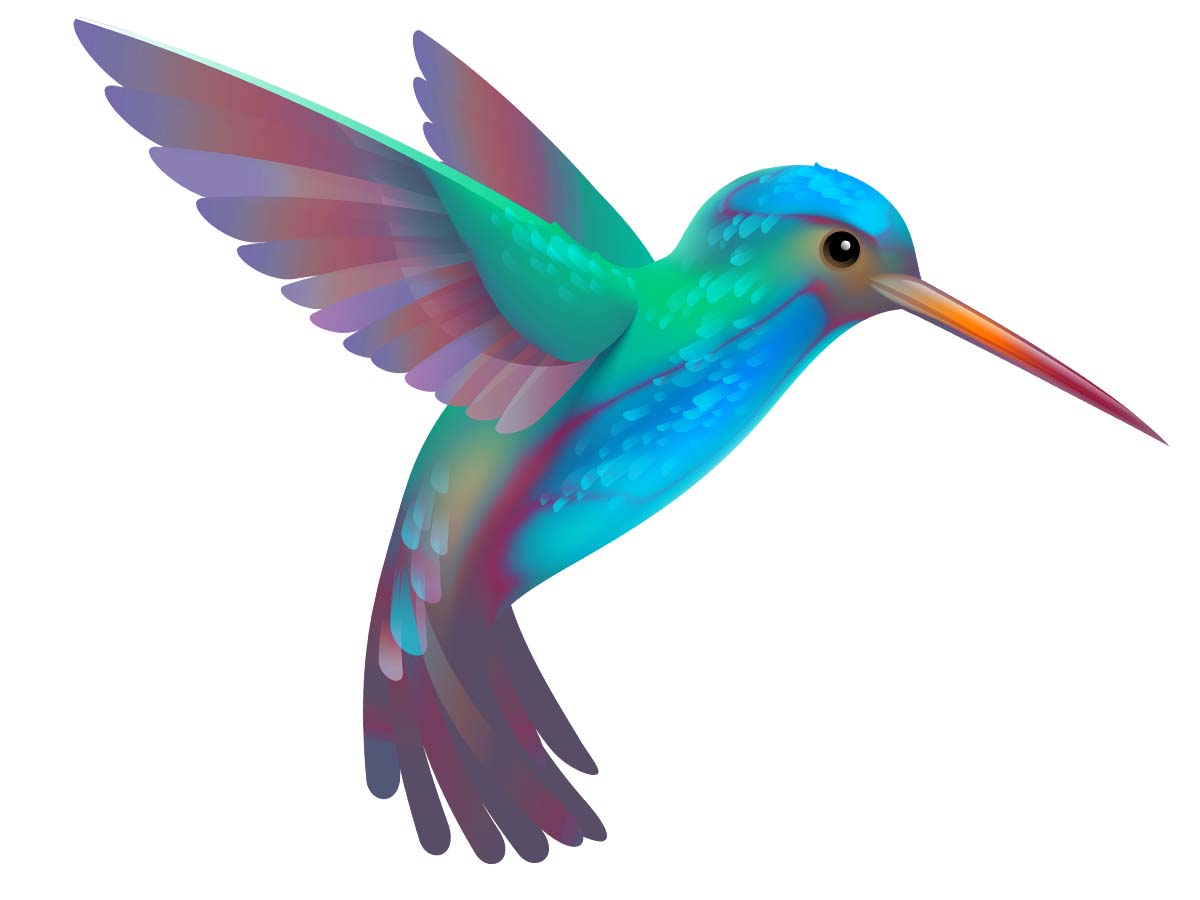 Hummingbird clip art.
