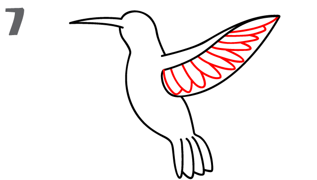 How draw hummingbird.
