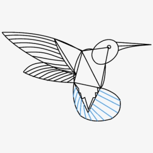Hummingbird Clipart Easy