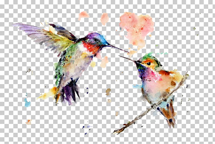 Hummingbird Watercolor painting Drawing Art, painting, two