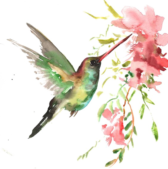 Download watercolor bird.