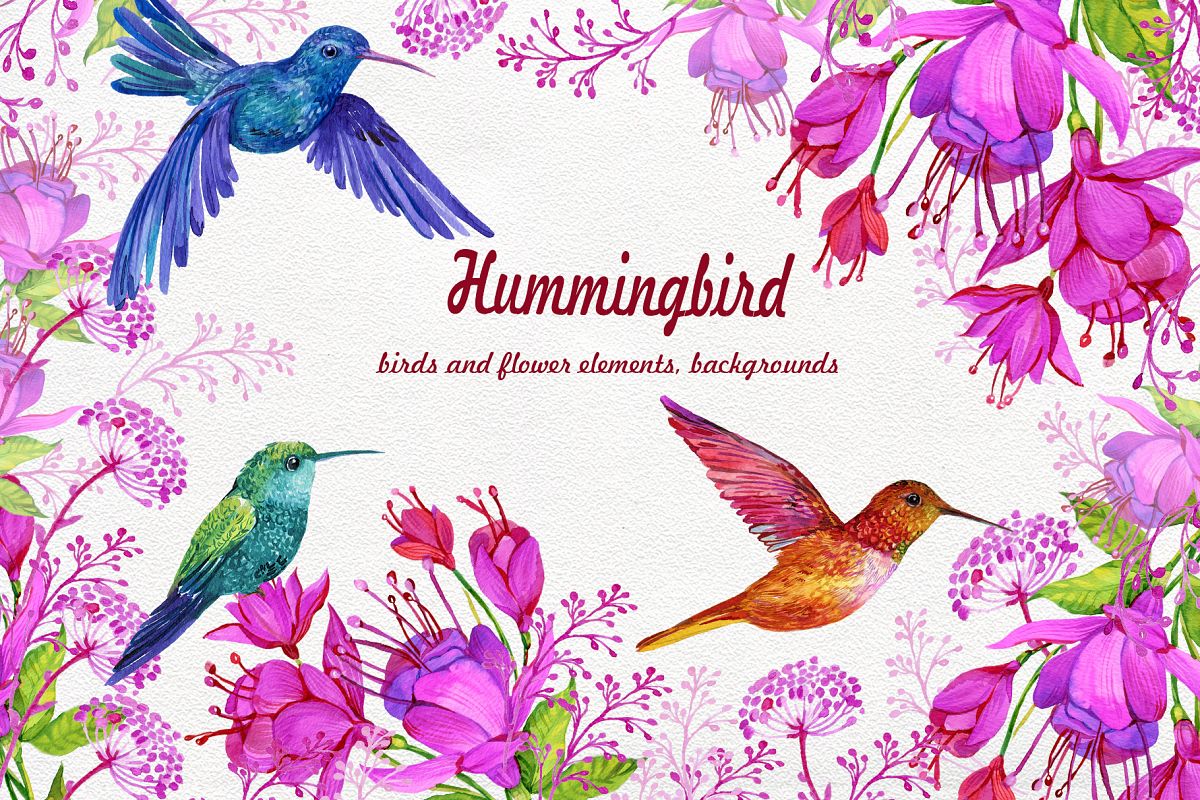 Hummingbirds clipart flowers.
