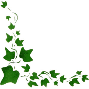 Free Ivy Cliparts, Download Free Clip Art, Free Clip Art on