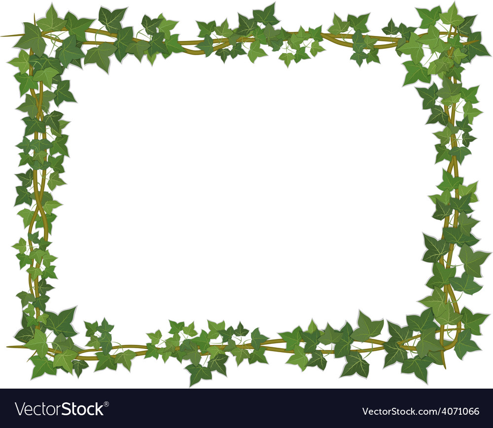 Ivy square frame.