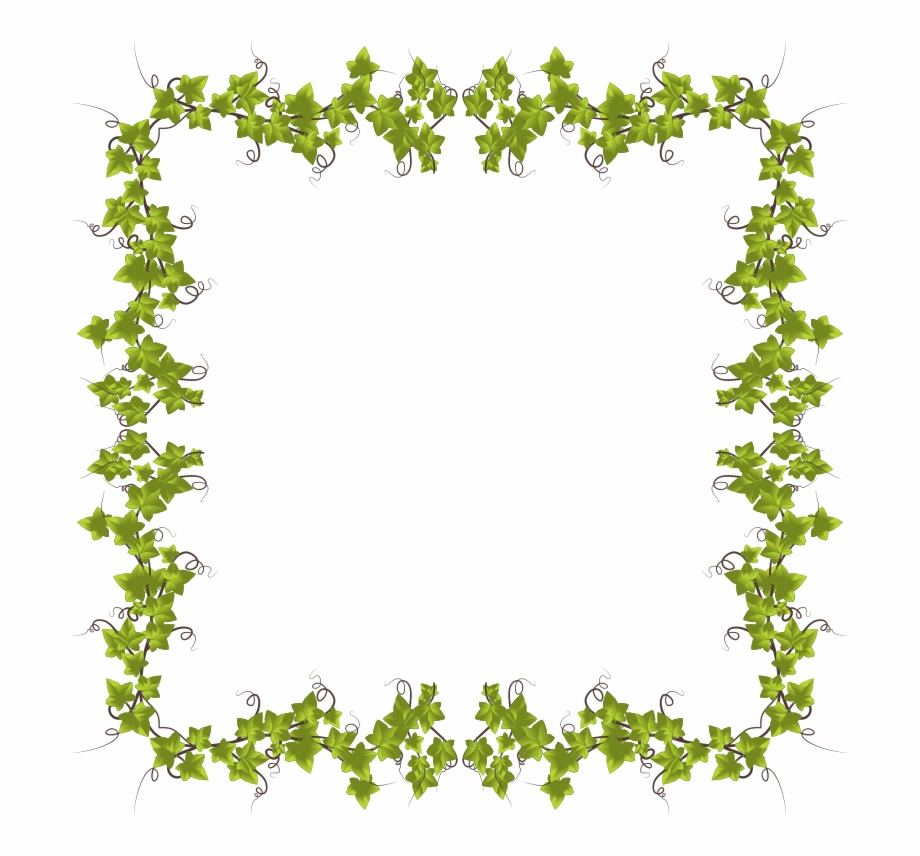 Ivy leaves frame.