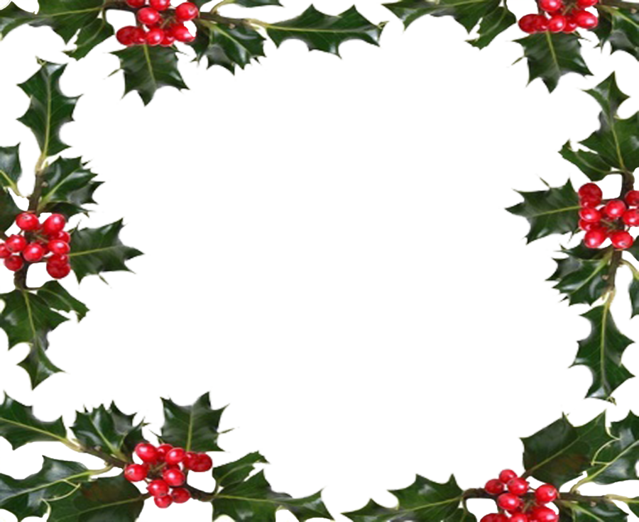 Holly,Wreath,Plant,Christmas decoration,Clip art,Flower