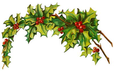 Free Images Of Christmas Holly, Download Free Clip Art, Free