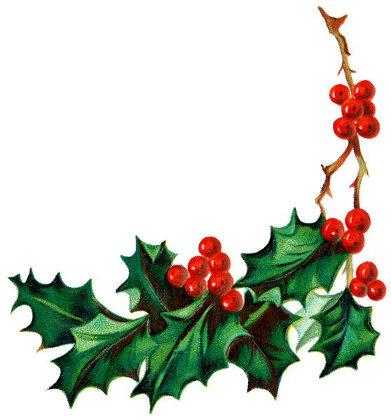 Holly And Ivy PNG Transparent Holly And Ivy