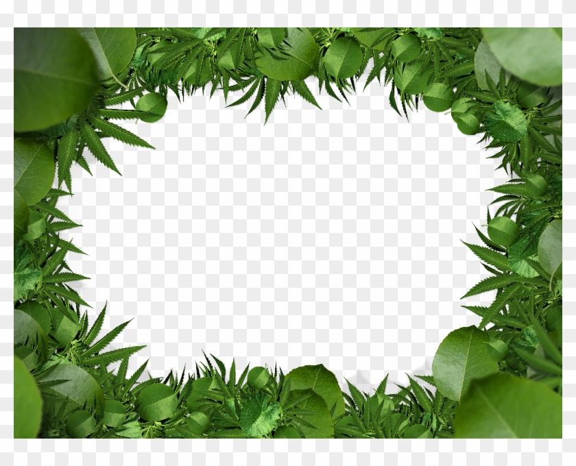 Nature Green Leaf Border Png Clipart Free Download