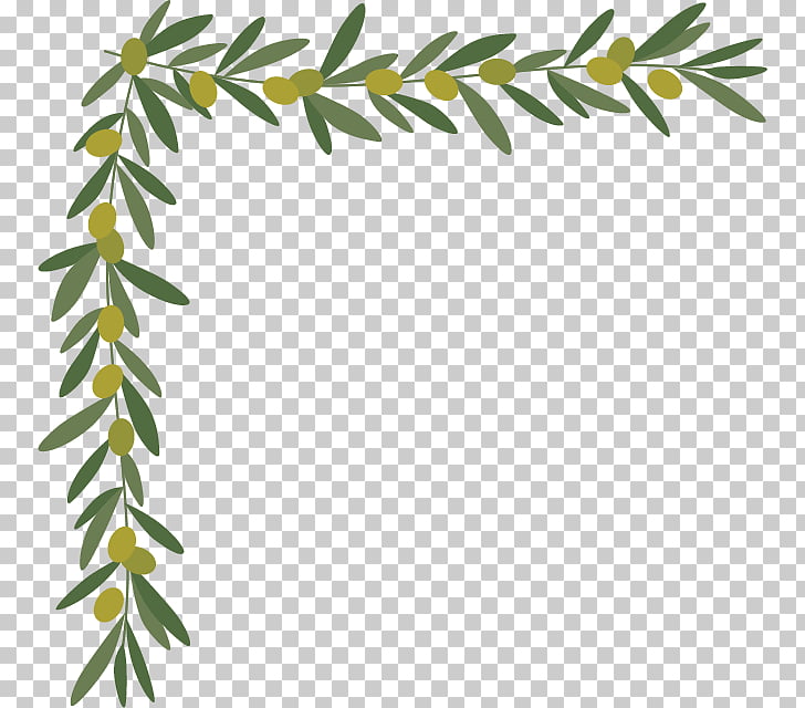 Borders and Frames Olive leaf Twig , Leaf PNG clipart