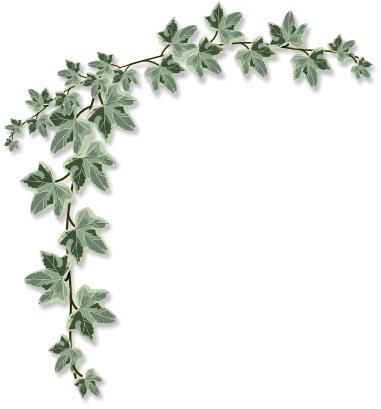 Free ivy cliparts.