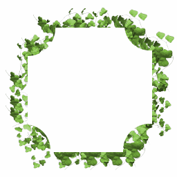 Green,Leaf,Clip art,Picture frame,Ivy,Plant,Rectangle