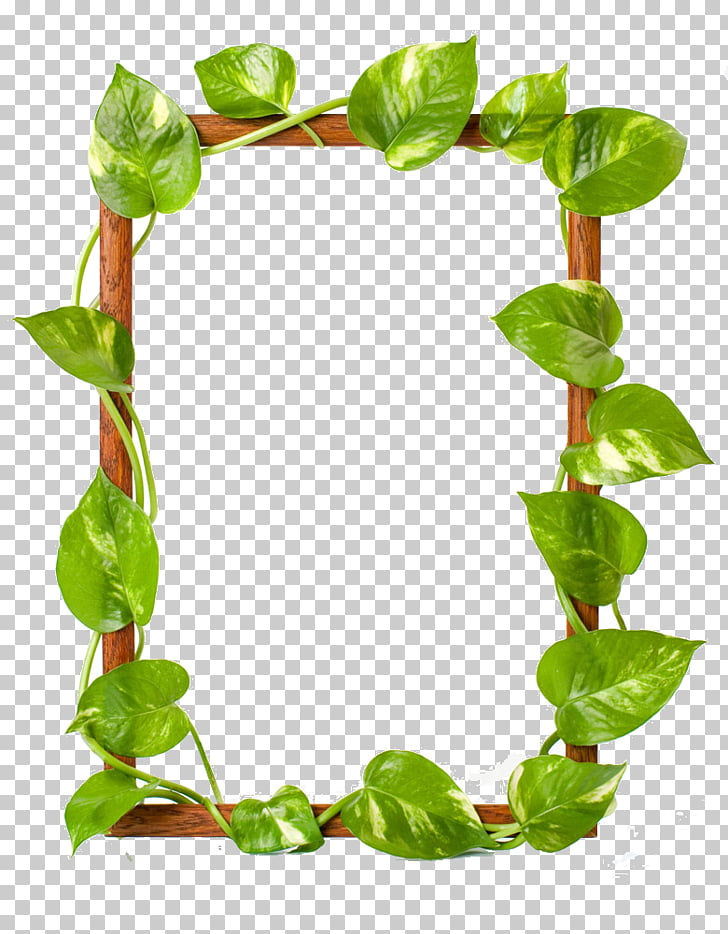 Frame Raster graphics Leaf , Green leaves border, brown
