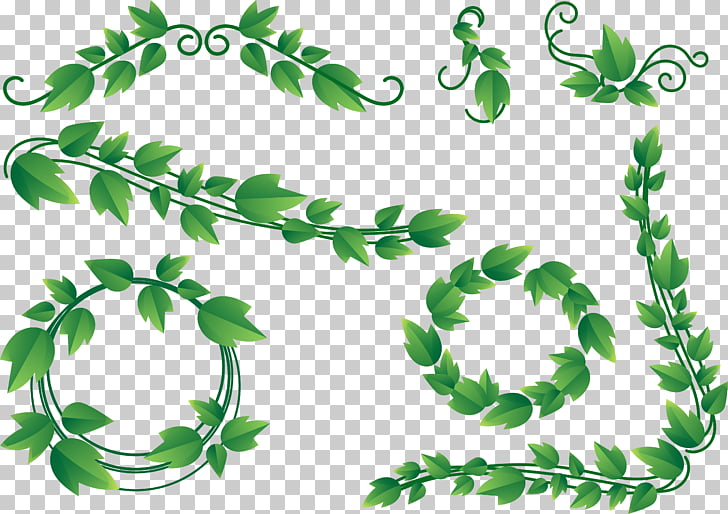ivy border clipart small brown leaf