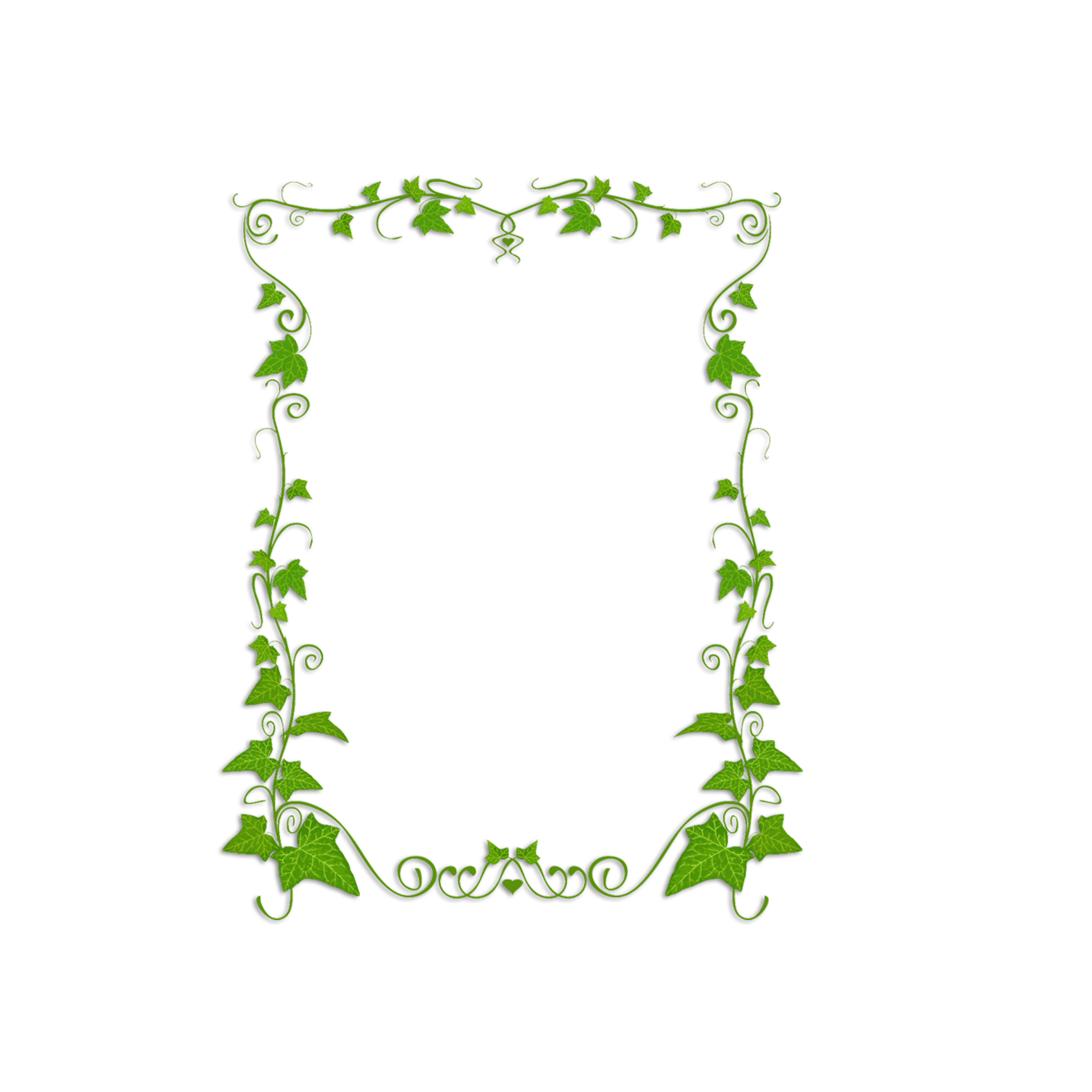 Common ivy Plant Vine Clip art