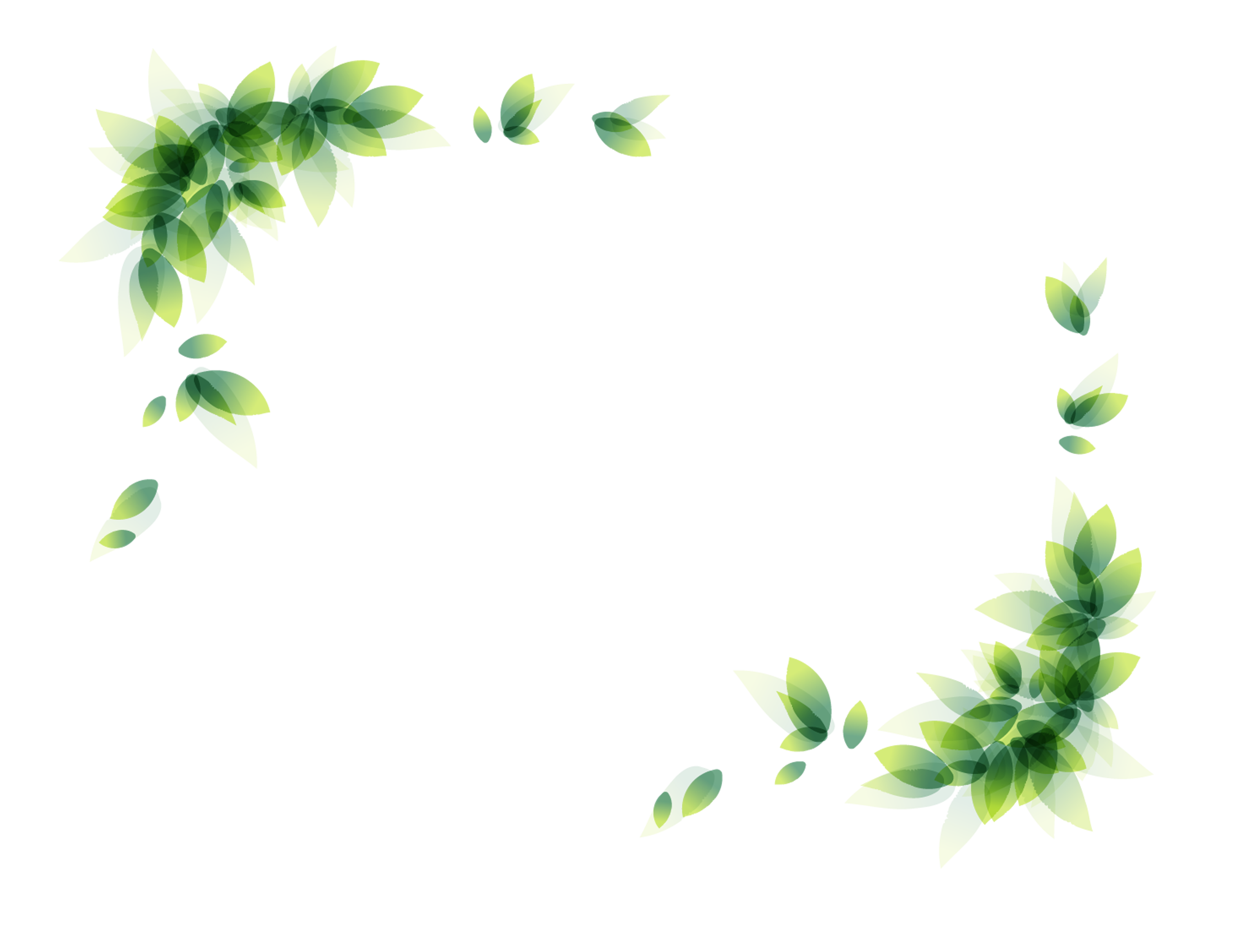 Ivy clipart certificate, Ivy certificate Transparent FREE