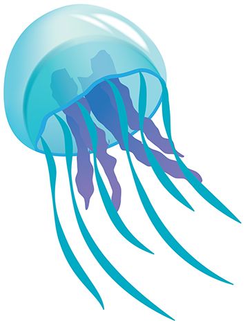 Best jellyfish clipart.