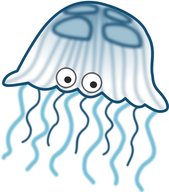 Box jellyfish png.
