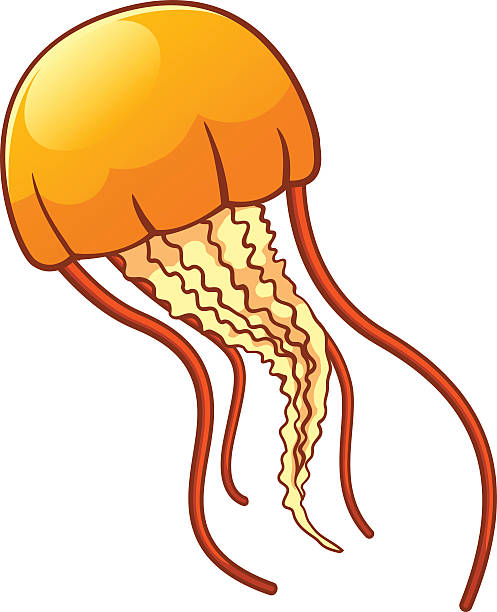 Jellyfish clipart free.