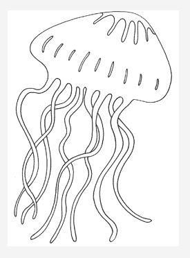 jellyfish clipart coloring pages