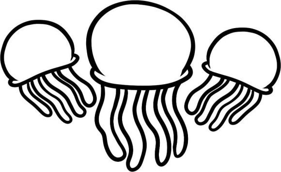 Three jellyfish coloring pages