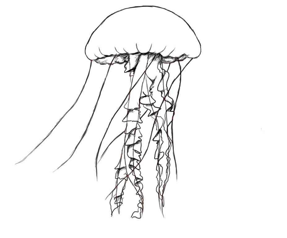 Easy draw jellyfish.