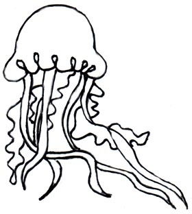 Jellyfish line drawing.