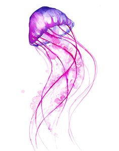Best jellyfish tattoos.