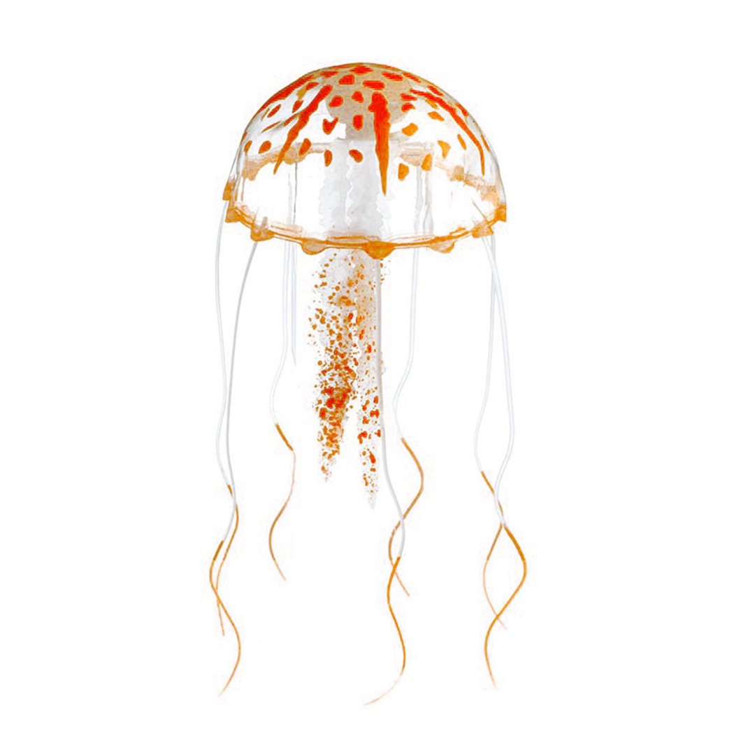 Realistic jellyfish drawing.