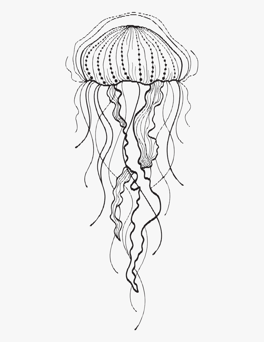 Jellyfish clipart moon.
