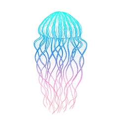 Jellyfish realistic vector.