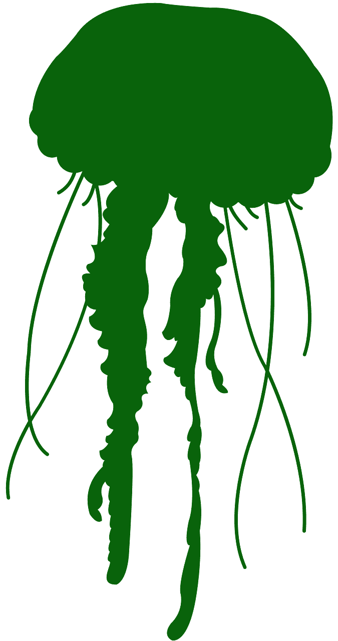 Jellyfish silhouette