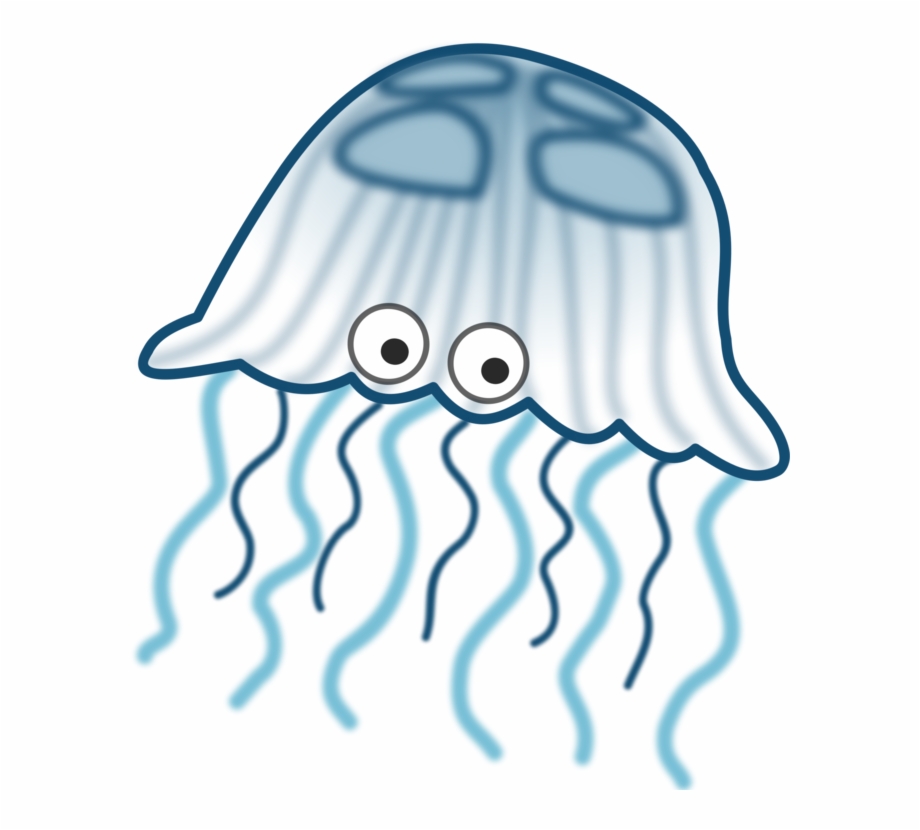 Box Jellyfish Png Image