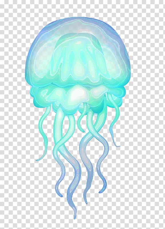 Rhizostomae Hydrozoa Aquatic animal Box jellyfish, others