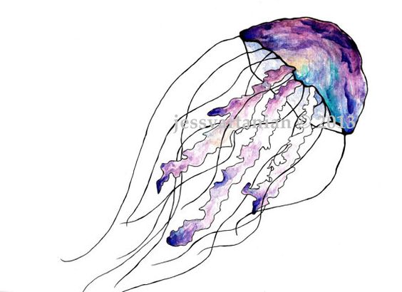 Print jellyfish watercolor.