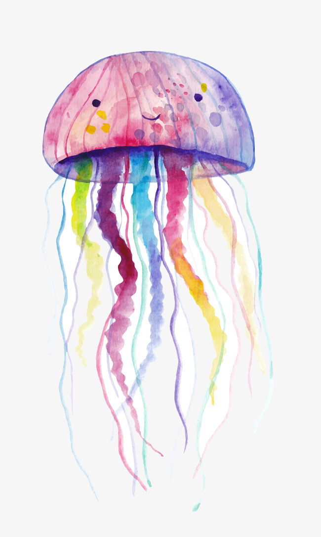 Watercolor Style Vector Illustration Jel