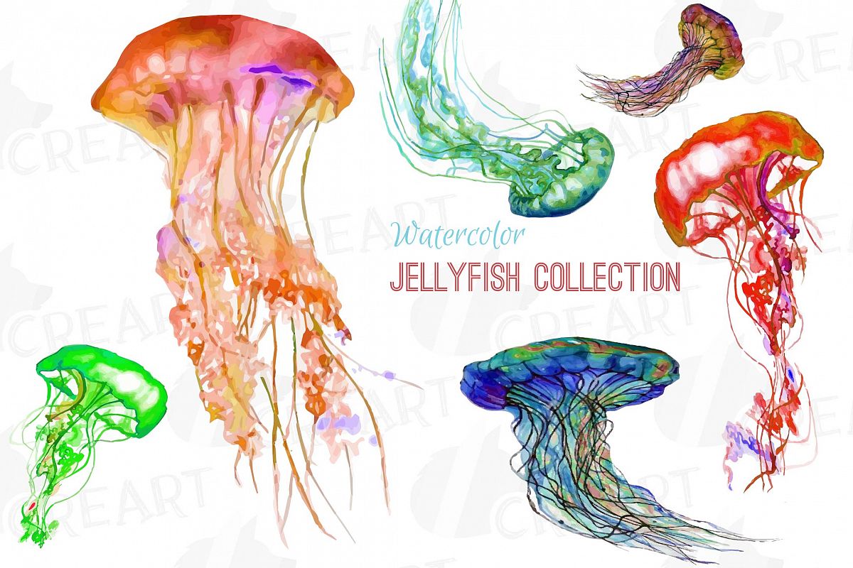 Jellyfish watercolor clip.