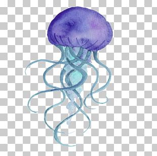 Watercolor jellyfish png.