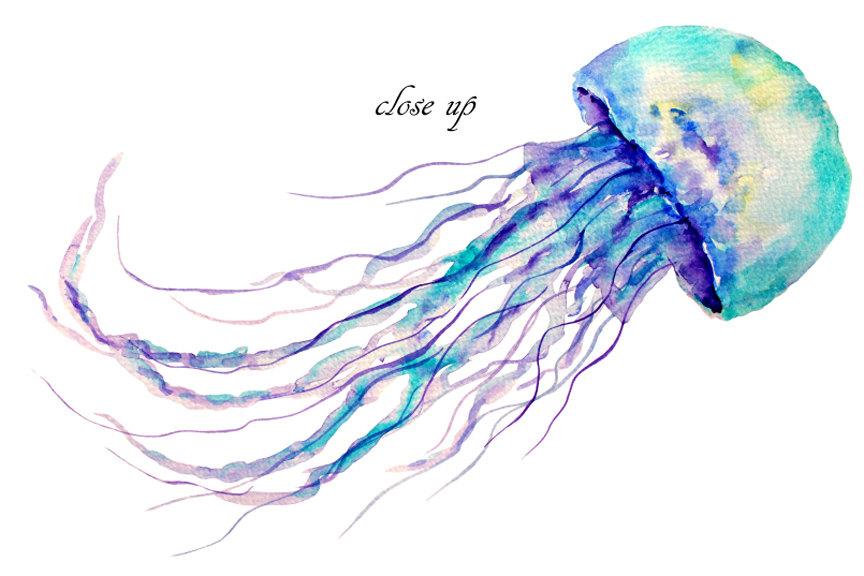 Watercolor jellyfish paintingvalleycom.