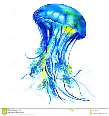 Image result for watercolor jellyfish clipart