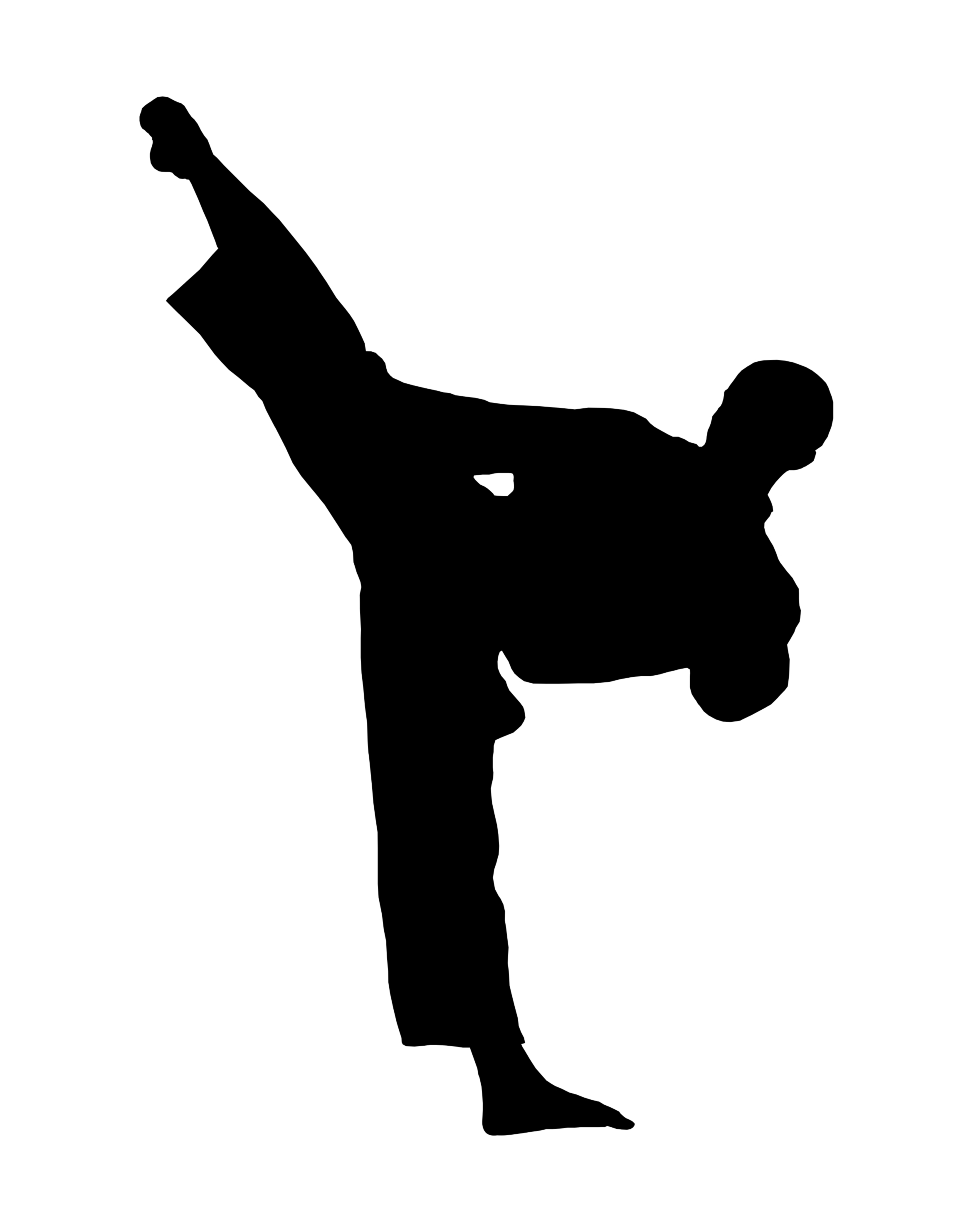 Free karate silhouette.