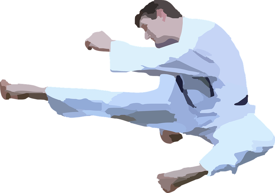 Karate clipart silhouette.