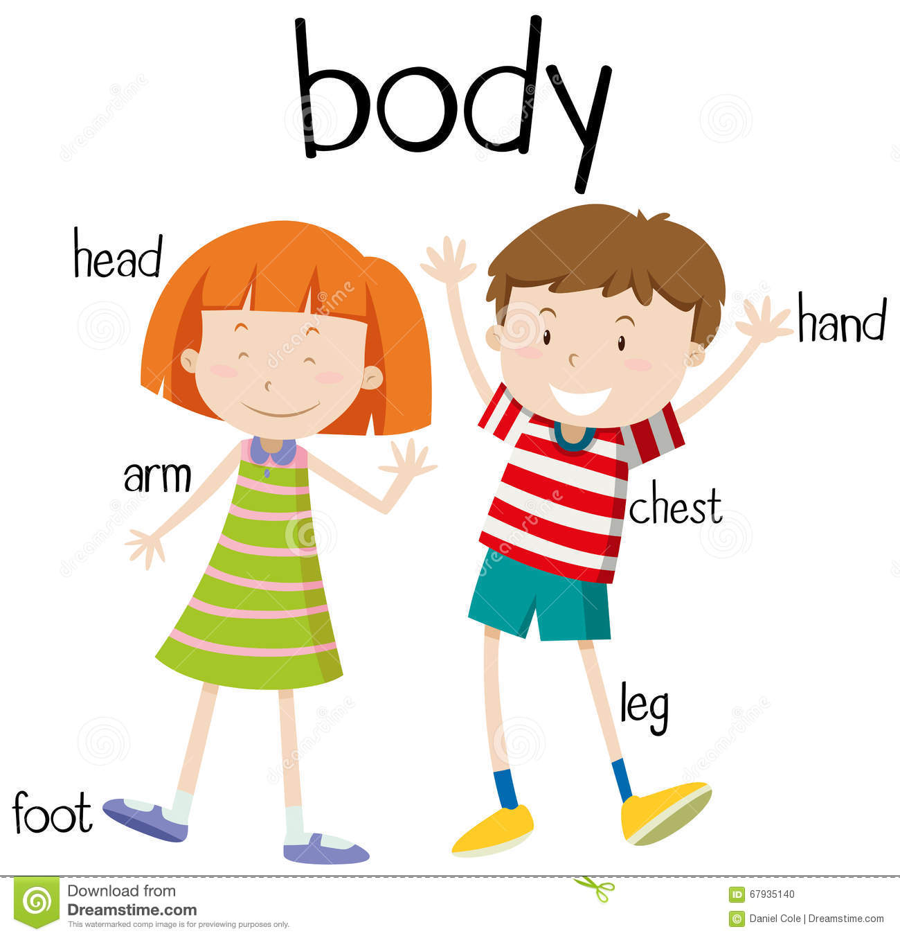 Part of body for kids clipart