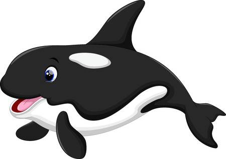 Orca whale clipart
