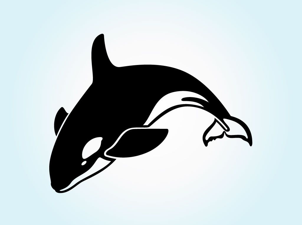 Pin on whales