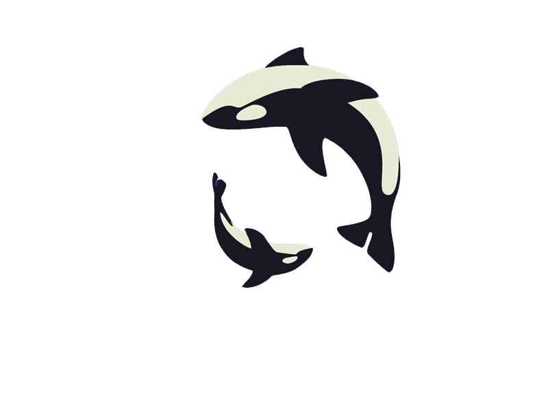 Orca clipart animation.