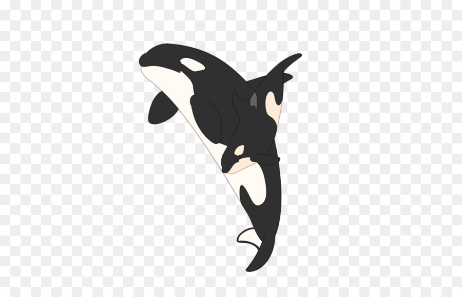 killer whale clipart baby